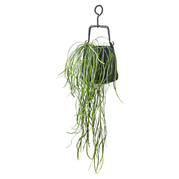 Affari of Sweden - THOR Kruka, Svart