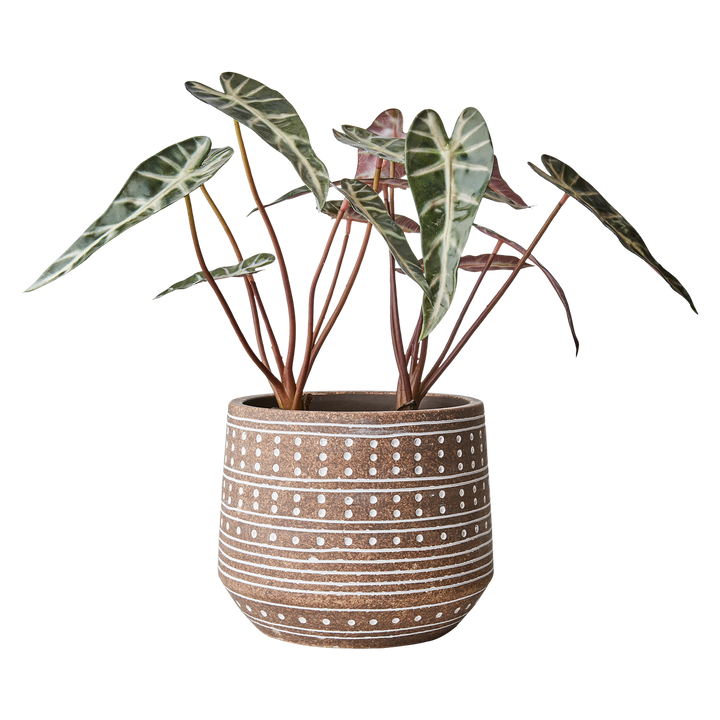 Affari of Sweden - CAMILLE Kruka L, Beige