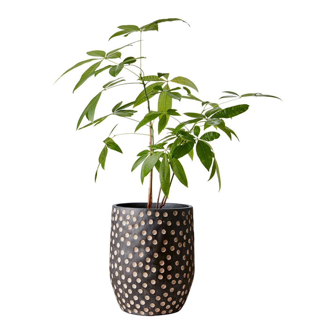 Affari of Sweden - CAMILLE Kruka L, Svart/brun