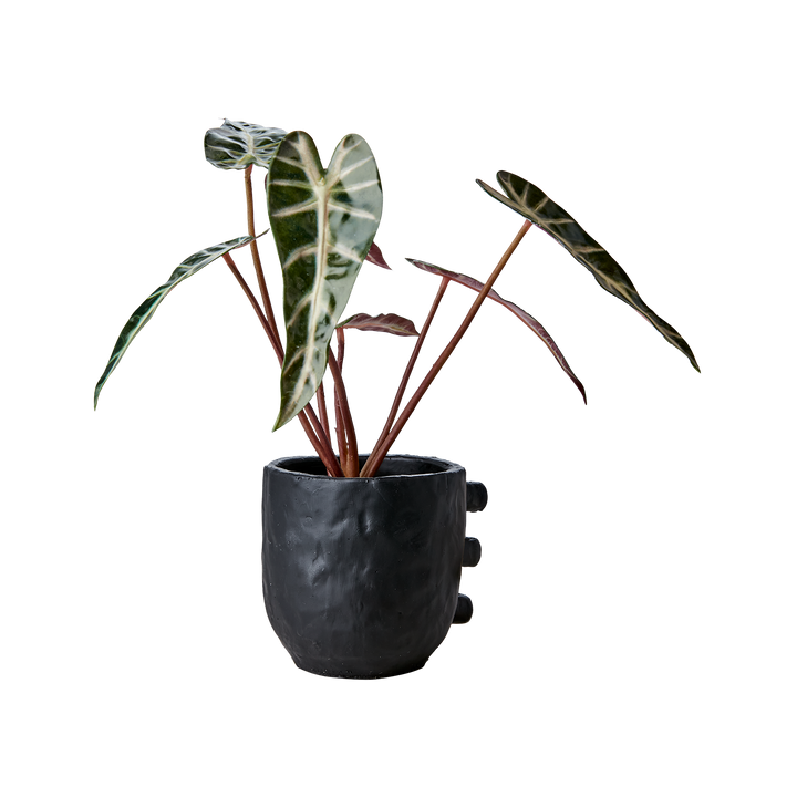 Affari of Sweden - CAMILLE Kruka S, Svart