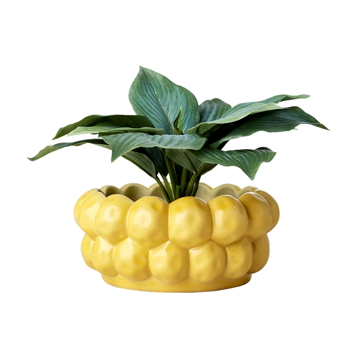 Affari of Sweden - ADA Kruka, Gul