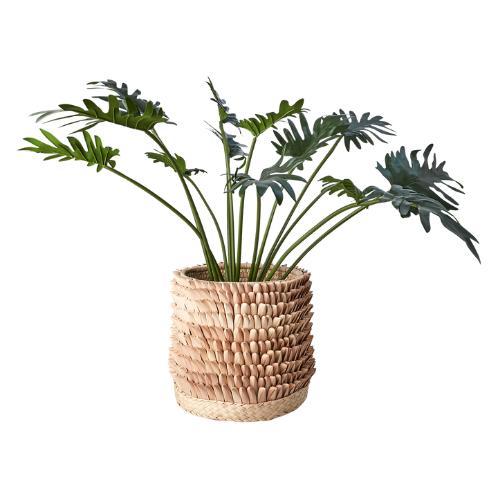 Affari of Sweden - SPIKY Kruka, Natur