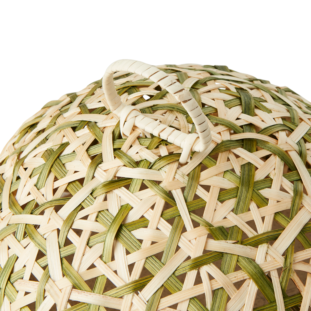 Affari of Sweden - SUNNY Tårtskydd M, Natur/grön