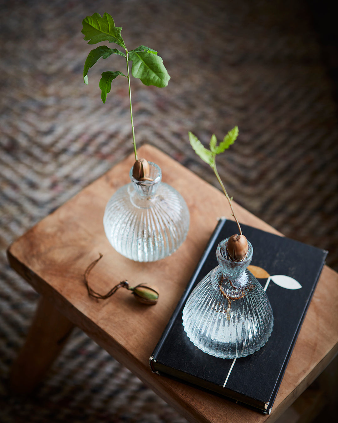 Affari of Sweden - PALLE Pall, Natur