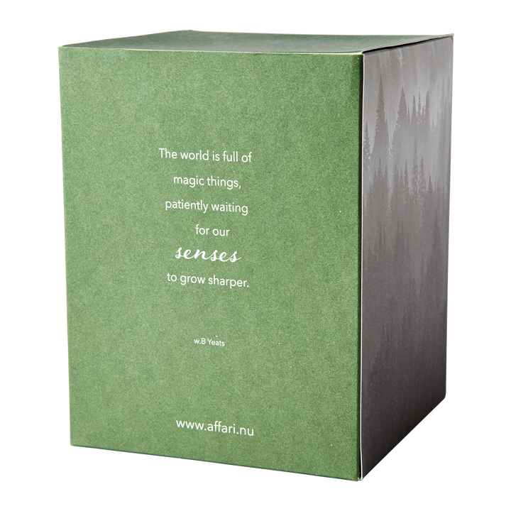 Affari of Sweden - SENSE Doftljus med kupa Suede & evergreen, Grön