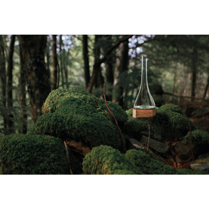 Zwiesel - Iconics Karaff 0,75 L