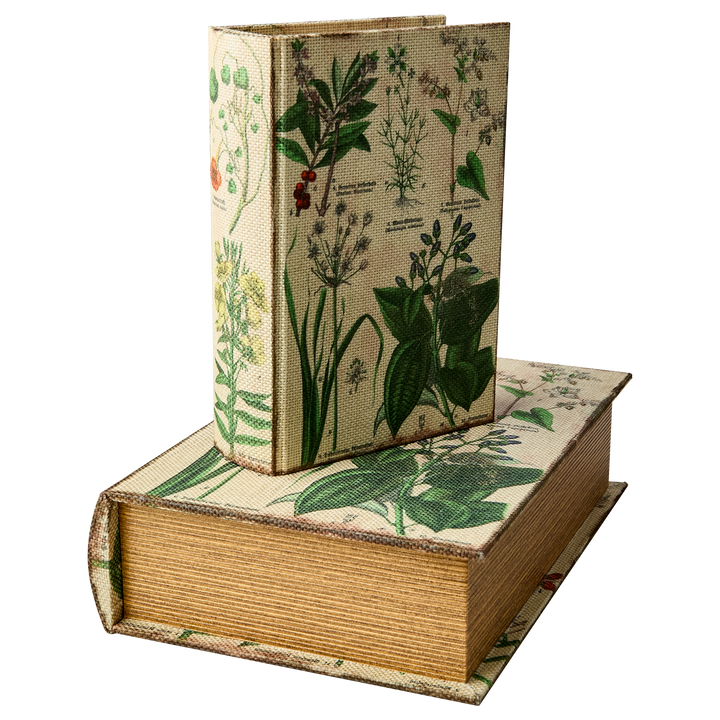 Affari of Sweden - BROOKE Låda, set om 2, Natur/grön