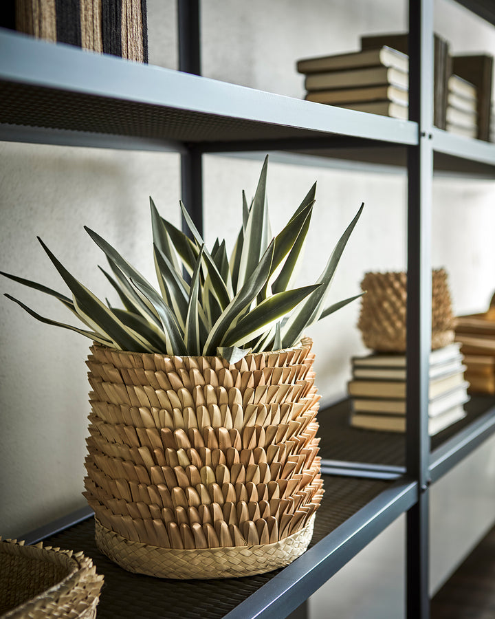 Affari of Sweden - SPIKY Kruka, Natur